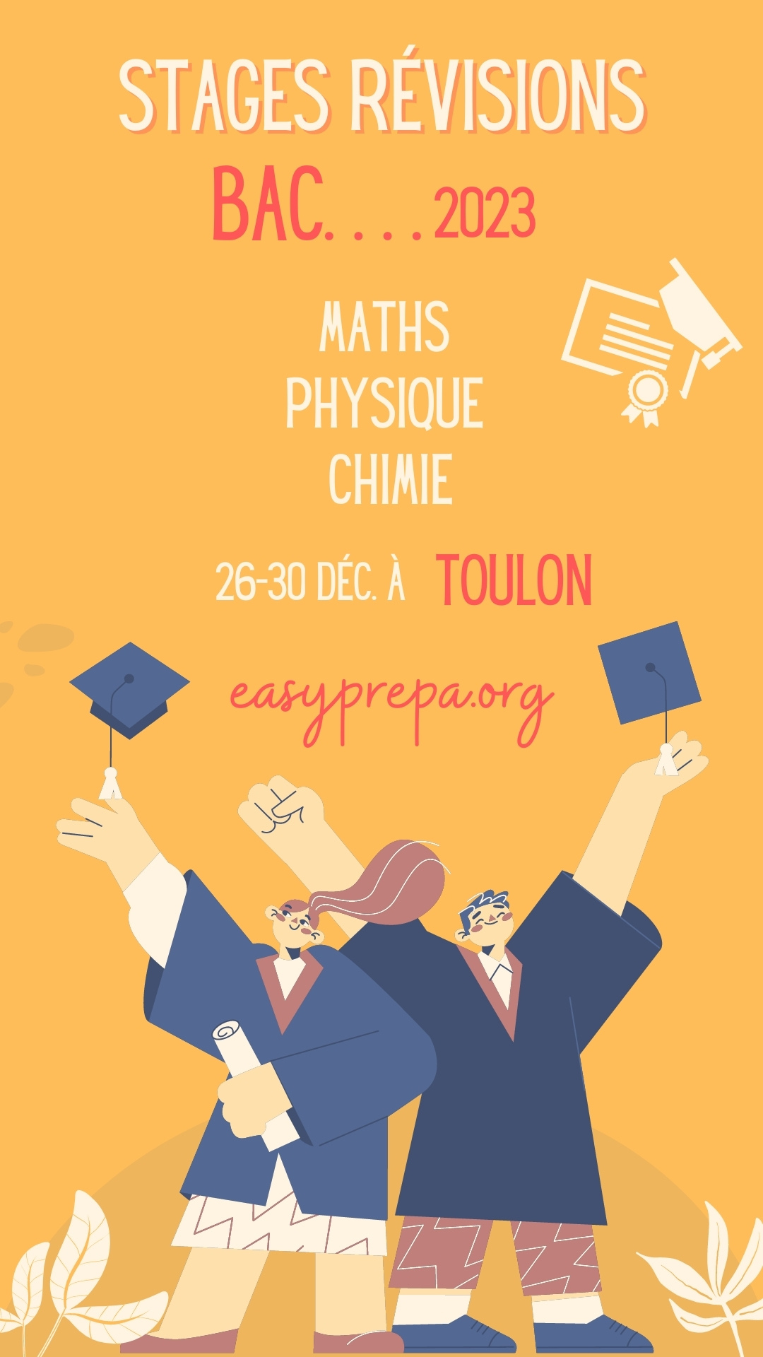 Stages de révisions Maths, Physique Bac à Toulon 